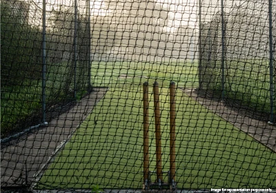 Cricket Pitch