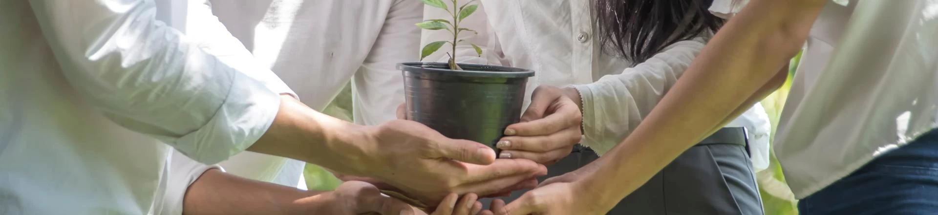 Corporate Sustainability