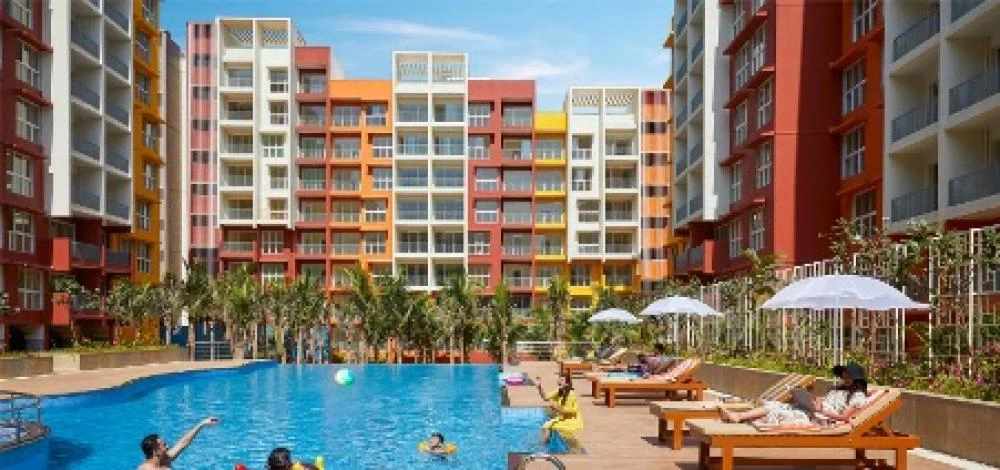 Rio De Goa: Celebrate life