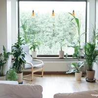 Latest Interior Design Styles