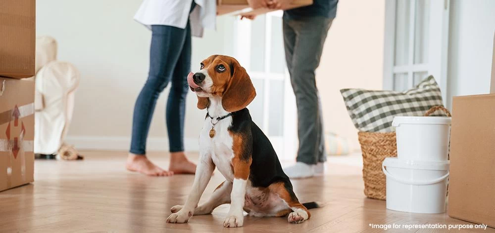 Pet Relocation Guide