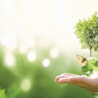 Sustainable living concepts - Flats for sale - Tata Housing