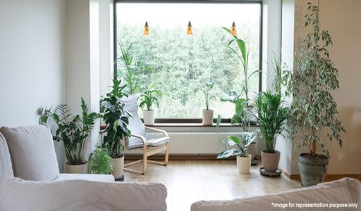 Latest Interior Design Styles